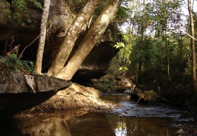 Parque Estadual em Campos Altos comemora nove anos