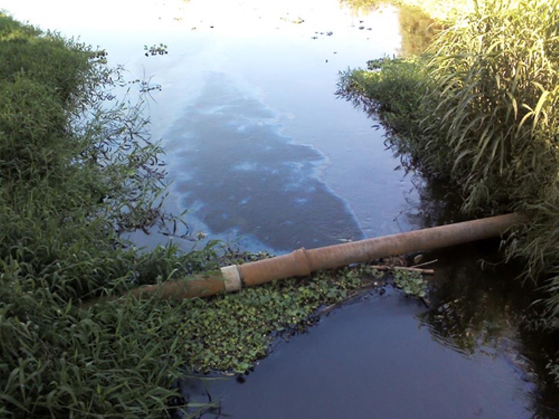 Polícia de Meio Ambiente registra derramamento de óleo no Lago Norte, no Barreiro