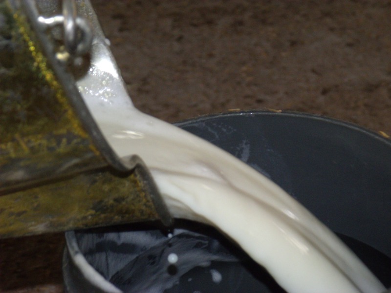 Vaca Ficção Fiv de Brasília vence Torneiro do Gir Leiteiro na ExpoAraxá 2014