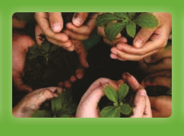 Polo UAB/Araxá oferece curso de aperfeiçoamento em Educação Ambiental