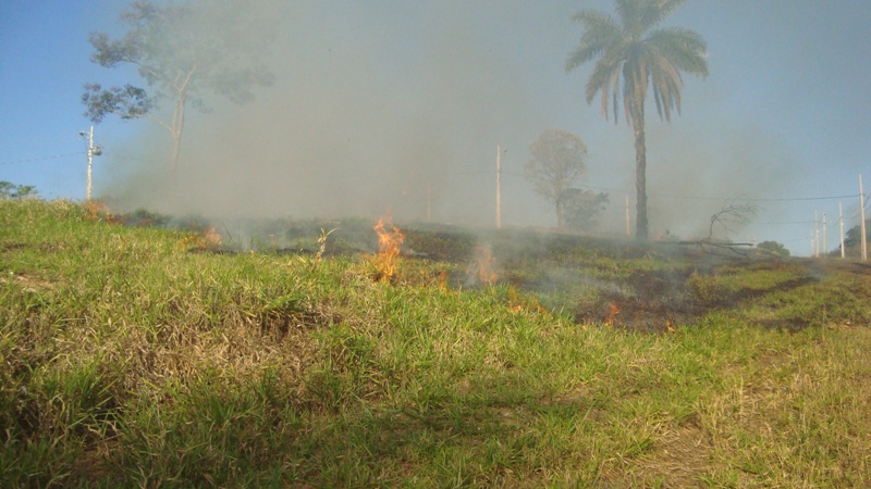 Registro de queimadas urbanas em Araxá, em 2014, já é maior que em 2013