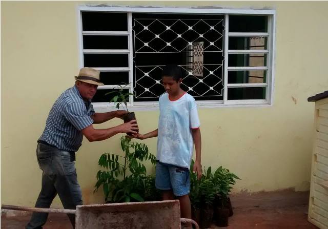 Meio ambiente, de Sacramento, doa mudas para entidade de assistência a crianças