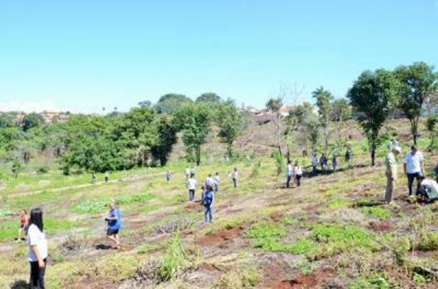 Parque do Mocambo, em Patos, ganha mais 500 mudas de árvores nativas