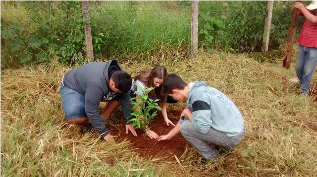 Plantio de mudas é promovido pela Prefeitura de Sacramento