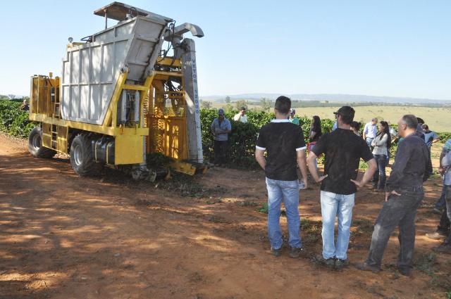 Vereador Mauro Chaves cobra solução para o Canil Municipal