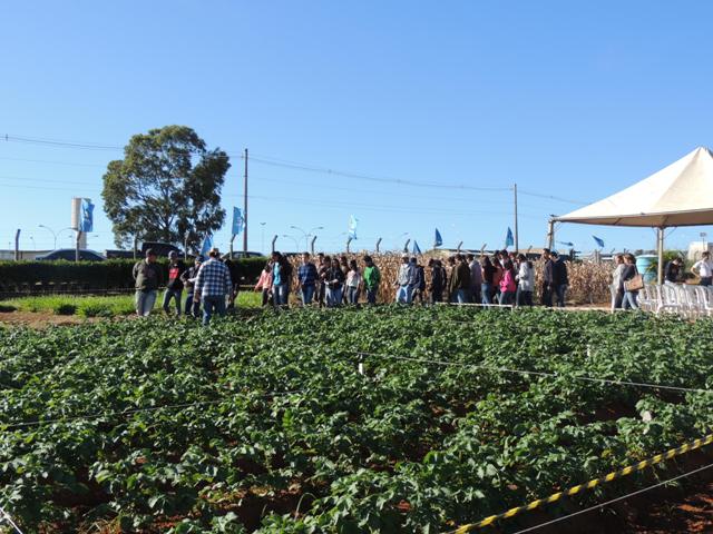 Campo Experimental “Fausto de Ávila” recebe atividades do Encontro de Campo e Intercâmbio Técnico