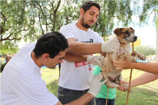 Mulher presa em Campos Altos, em ônibus rodoviário, com tabletes de maconha