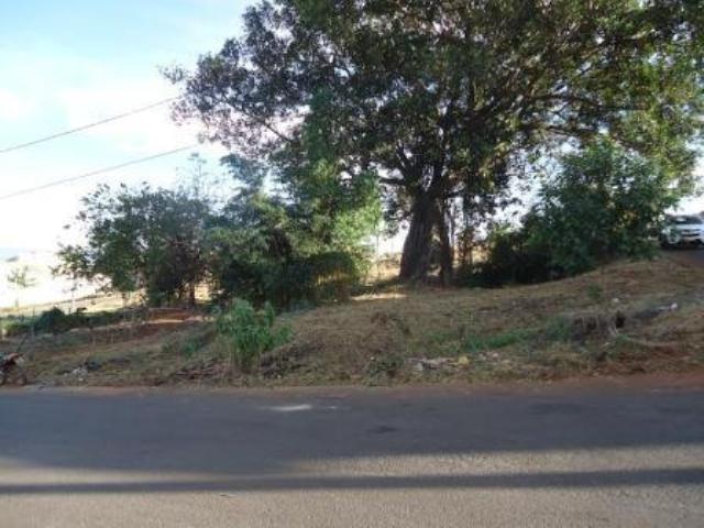 Audiência Pública na Câmara aborda situação dos animais de rua em Araxá