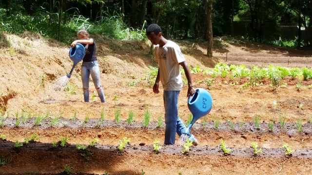 Bebê de aproximadamente 10 dias de vida é abandonado pela mãe em Araxá