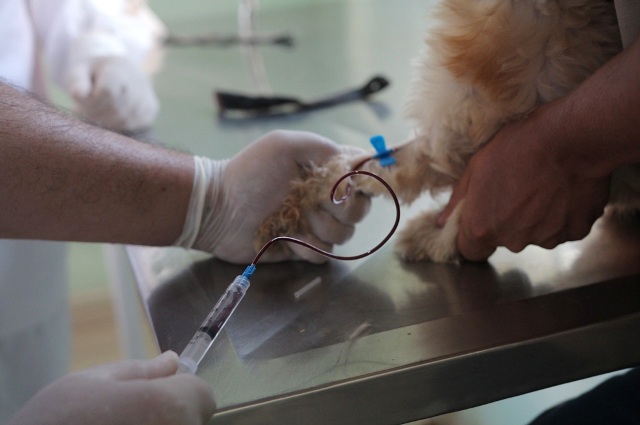 Barragens de rejeitos de minério em Minas Gerais devem passar por auditoria técnica nesse ano