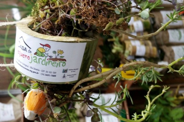 Educação desenvolve estratégias para trazer estudante de volta à escola