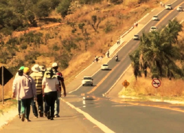 Estudos vão apontar caminhos para reduzir o uso de agrotóxicos no campo