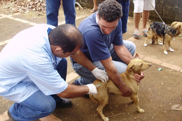 Araxaense morre em acidente na BR-262, em Luz