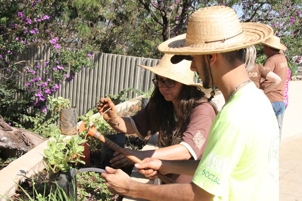 Araxaense morre em acidente na BR-262, em Luz
