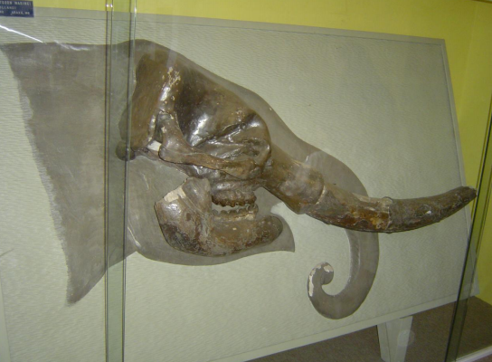 Idoso morre em acidente na zona rural de Perdizes