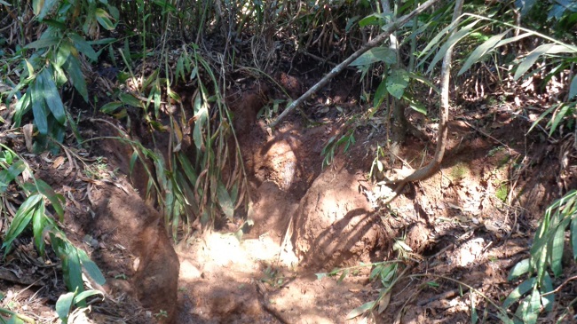 Procon nos Bairros registra atendimento recorde no Urciano Lemos