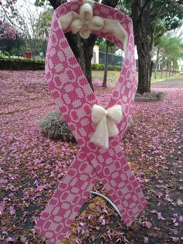 Câmara agenda encontro para votar Projetos de Resolução