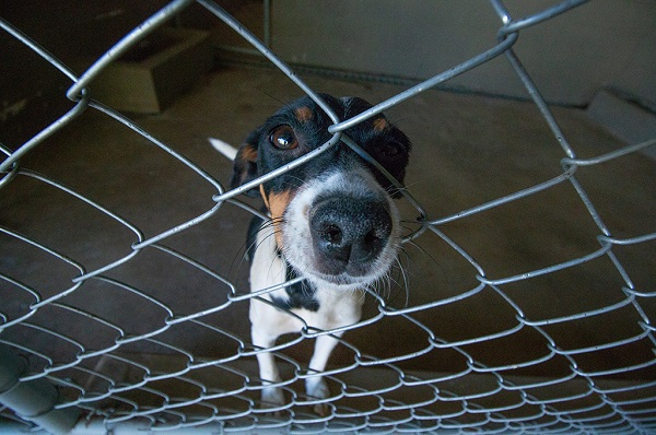 Parlamentares comentam Saúde, Trânsito e Turismo