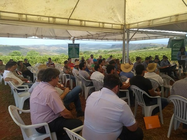 Bandidos rendem funcionários e roubam comércio no Setor Oeste de Araxá