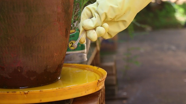 FCCB promove concurso Miss Beleza Negra