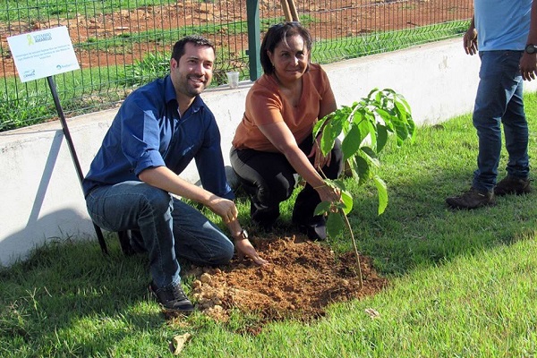 Plantio de Ipê Amarelo marca ações da Campanha Setembro Amarelo em 2018