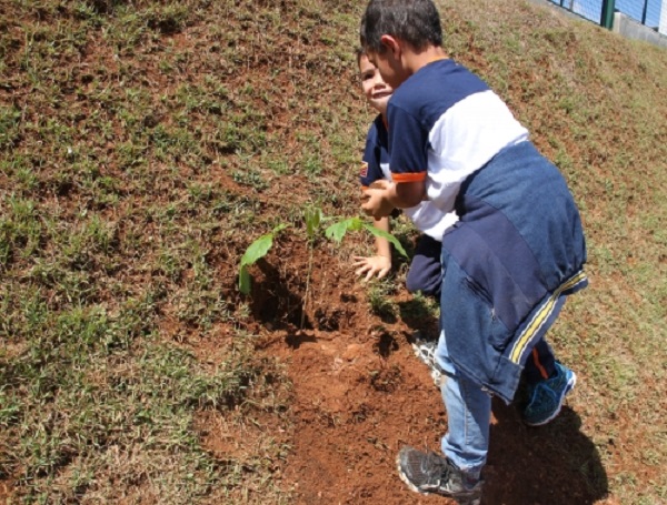 Bandidos rendem funcionários e roubam comércio no Setor Oeste de Araxá
