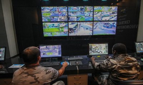 Plantio de Ipê Amarelo marca ações da Campanha Setembro Amarelo em 2018