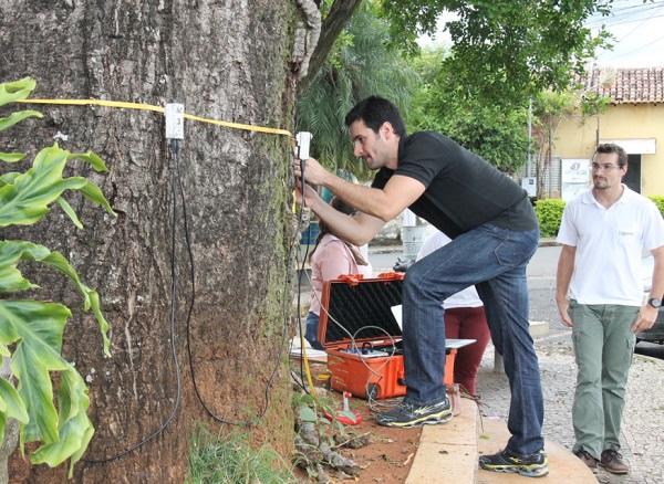 Minas pede apoio federal contra crise da cafeicultura