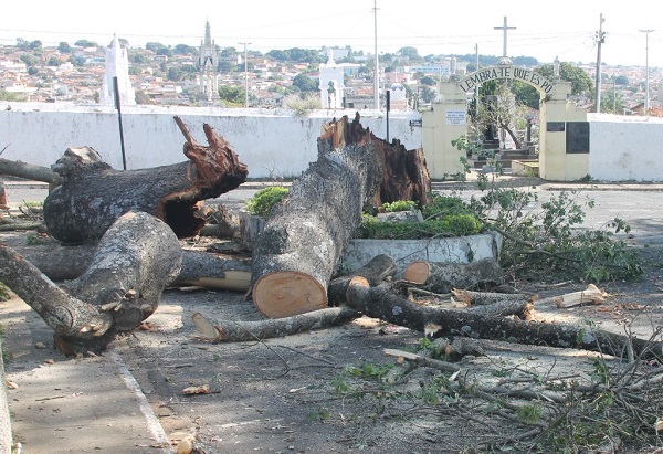Emenda garante recursos para fundos da infância e do idoso em Araxá