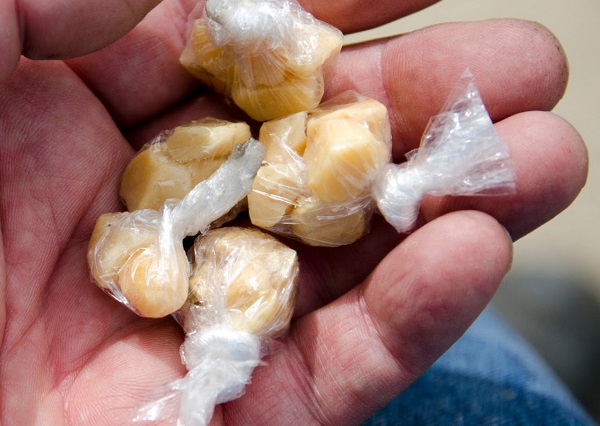 Inscrições para curso sobre direitos das pessoas LGBT e identidade de gênero estão abertas