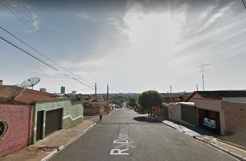 Instituto Estadual de Florestas reabilita animais silvestres vítimas de crimes ambientais