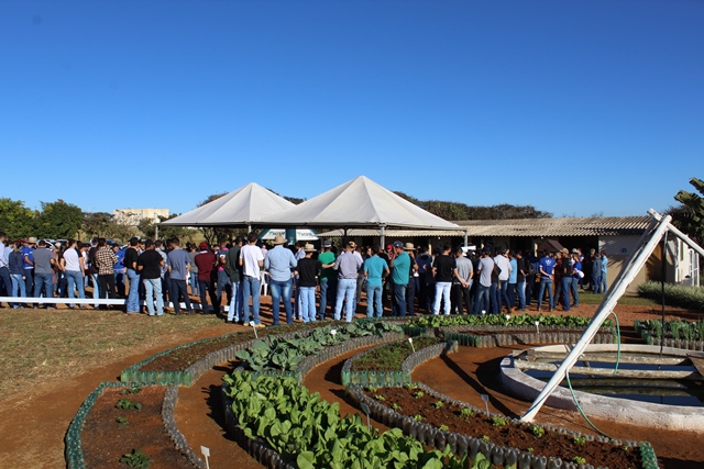 Instituto Estadual de Florestas reabilita animais silvestres vítimas de crimes ambientais