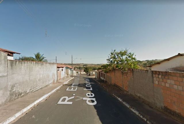 Instituto Estadual de Florestas reabilita animais silvestres vítimas de crimes ambientais