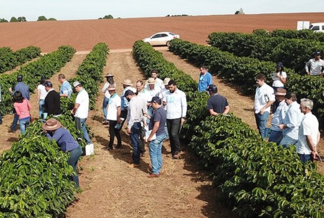 Projeto da Epamig seleciona variedades de café para o Cerrado Mineiro