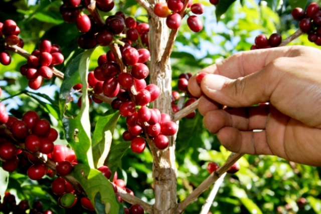 Minas investe na Educação, Segurança e mais transparência no serviço público