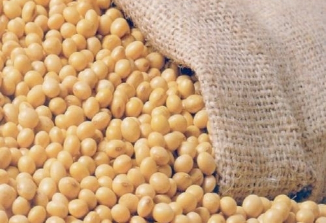 IMA vai fiscalizar cerca de 800 propriedades produtoras de soja