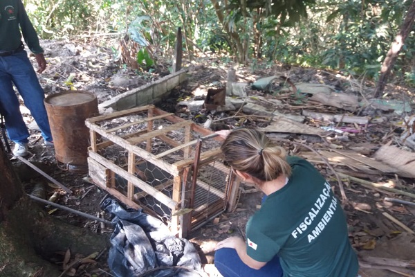 Fazenda disponibiliza consulta a informações de benefício fiscal a contribuintes