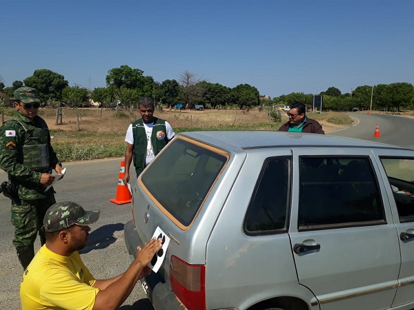 IEF mobiliza equipes de parques no combate a atropelamentos de animais silvestres