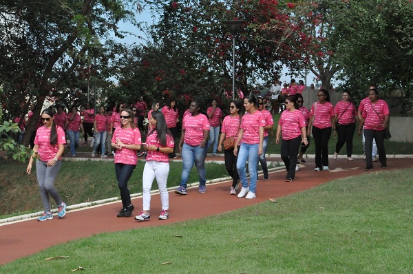 Mais de 1,3 milhão de motoristas ainda devem IPVA