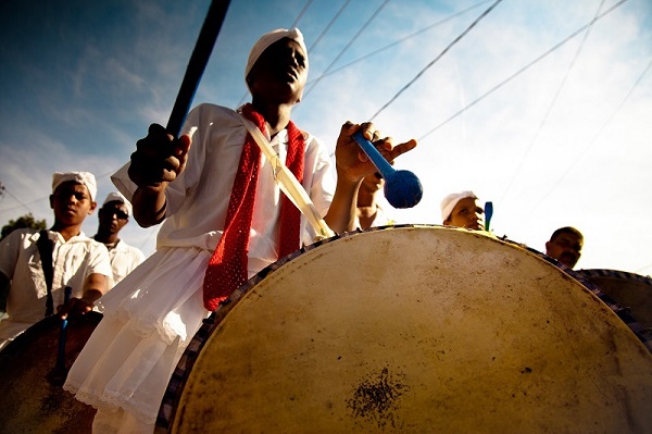 IEF mobiliza equipes de parques no combate a atropelamentos de animais silvestres