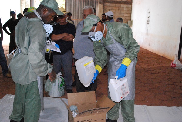 Registro automático de empresas cresce em Minas