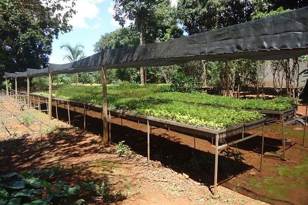 Preso acusado de corrupção de menores no Setor Norte de Araxá