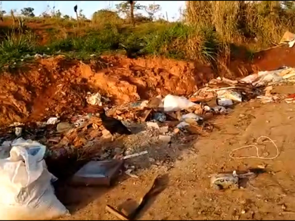 Especialista dá dicas para quem procura emprego neste início do ano