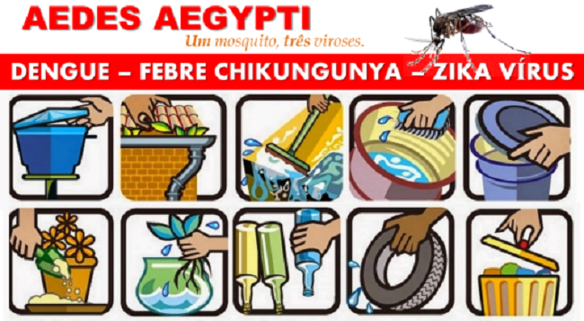 Unidades Interligadas de Registro Civil batem marca de 250 mil de certidões de nascimento emitidas