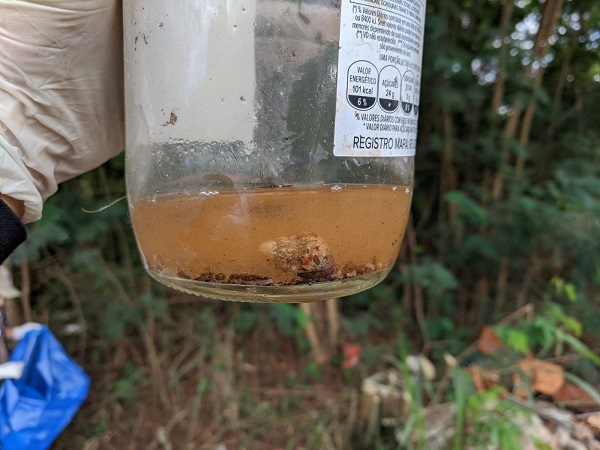 Novas restrições para o atendimento em agências da Previdência Social