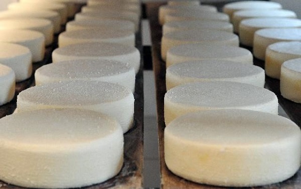 Emater-MG orienta produtores de leite e queijo sobre como amenizar impactos da pandemia