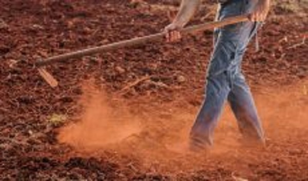 INSS suspende exigências para o segurado especial rural pelo prazo de 120 dias