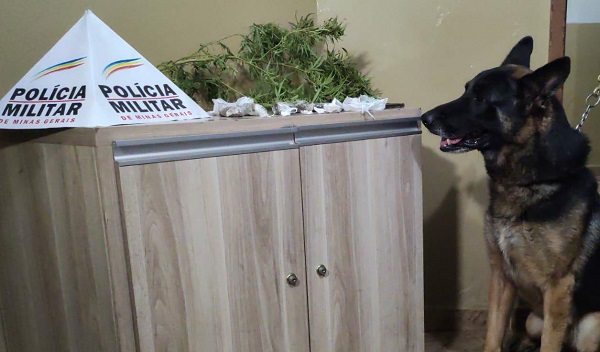 Acusados presos por tráfico no Setor Norte de Araxá