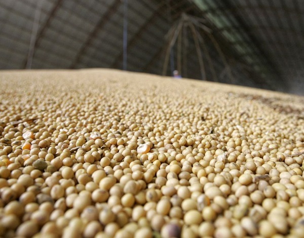 IBGE: safra de grãos deve fechar 2020 com alta de 2,3% no país