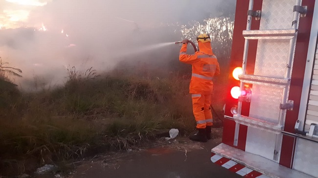 Sebrae Minas promove encontro virtual entre pequenos negócios e representantes de oito instituições financeiras do estado